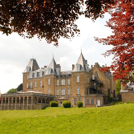 Domaine De Ronchinne - Chateau Et Ecuries Maillen Exteriör bild