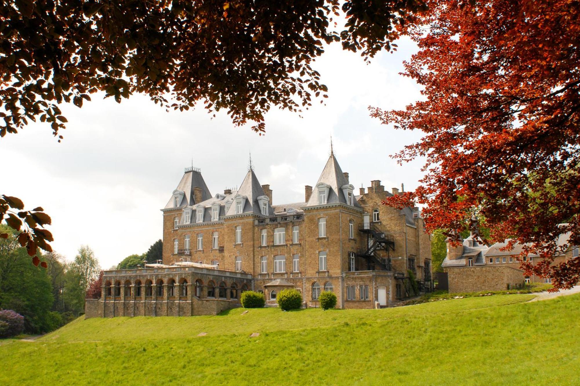 Domaine De Ronchinne - Chateau Et Ecuries Maillen Exteriör bild